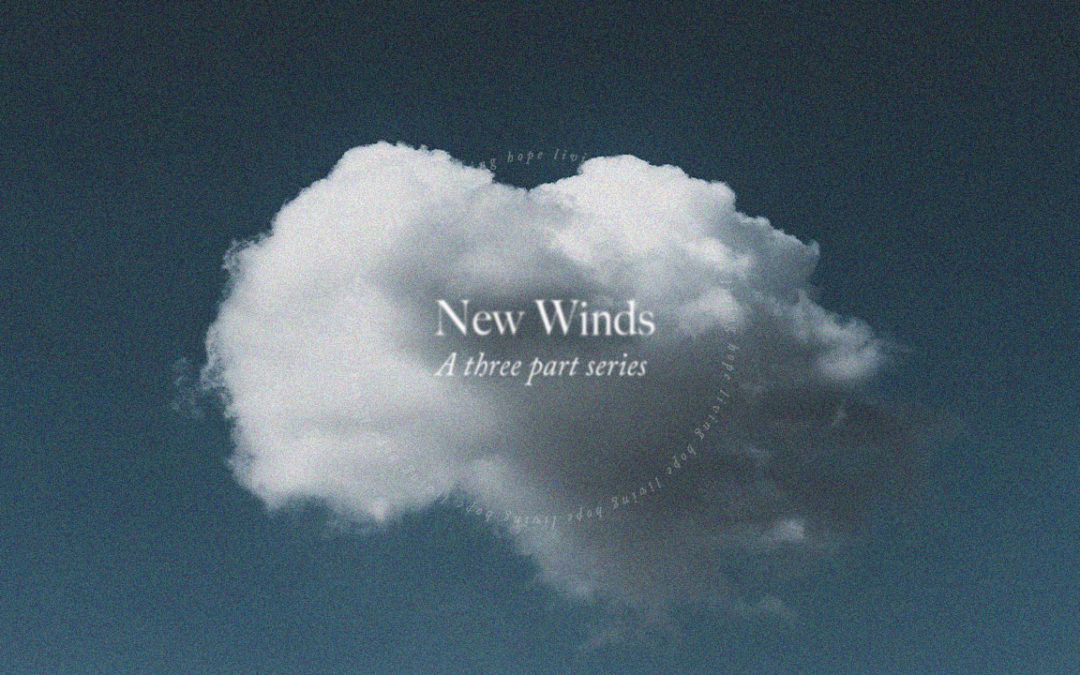 New Wind Pt. 3 | Wilderness Power